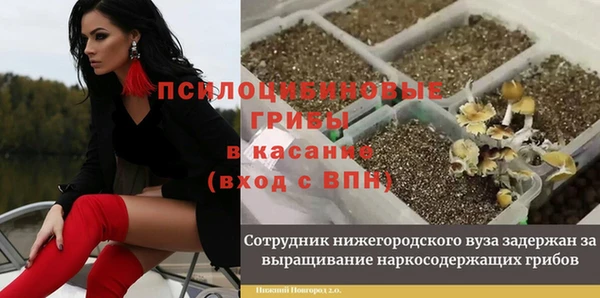 дурь Киренск