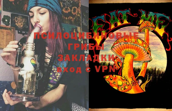 ПСИЛОЦИБИНОВЫЕ ГРИБЫ Кинешма