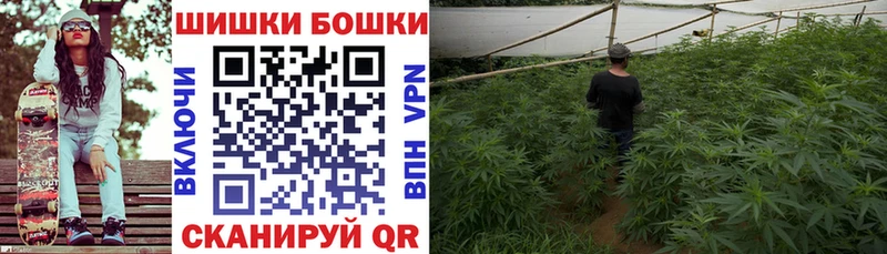 Канабис тримм  Купить где  Бакал 